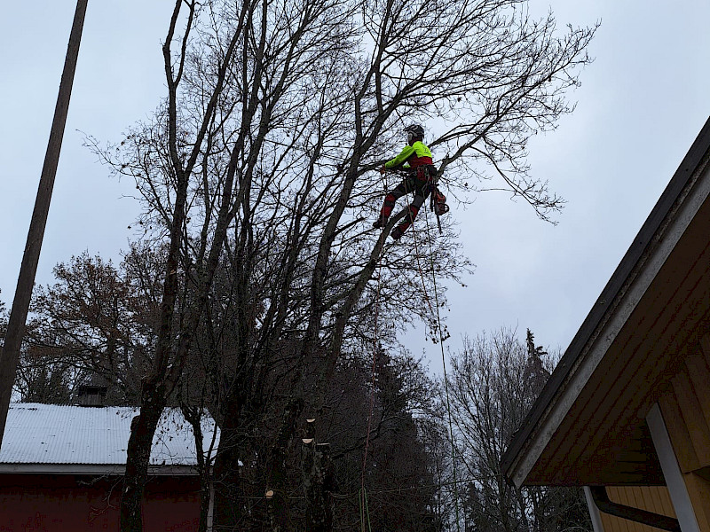 Kaatokiipeilyä