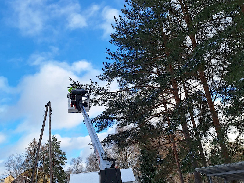 Mäntyjen hoitoleikkaus nosturista Akaa