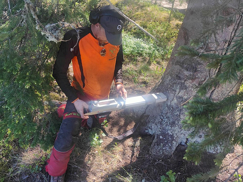 Puun kuntoarviointia mikroporalla